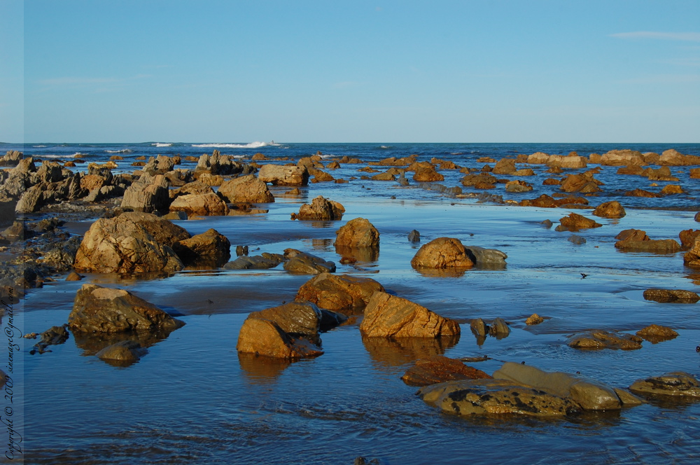 reef