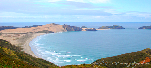 Cape Maria Van Diemen Northland New Zealand