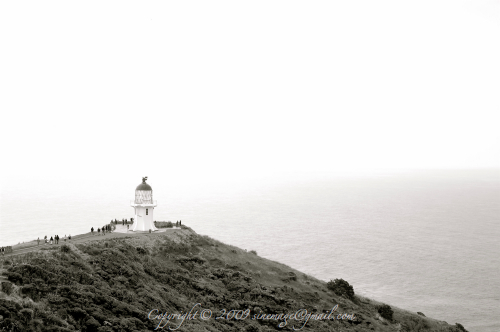 Lighthouse Cape Reinga Northland New Zealand