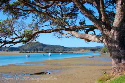 Tutukaka Northland New Zealand