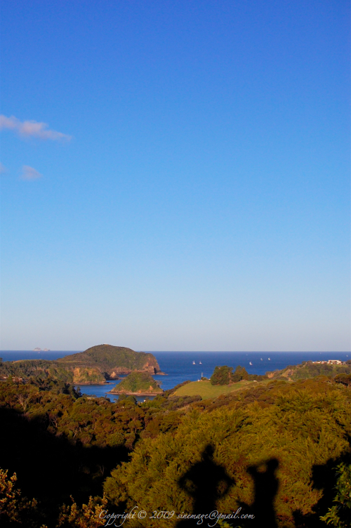 Tutukaka Coast Northland New Zealand