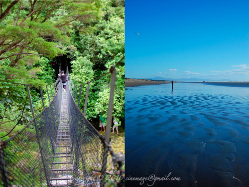 Wainui Fall Swing Bridge . Otaki Beach