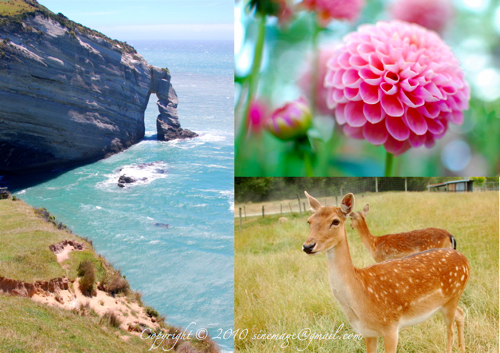 Cape Farewell Golden Bay