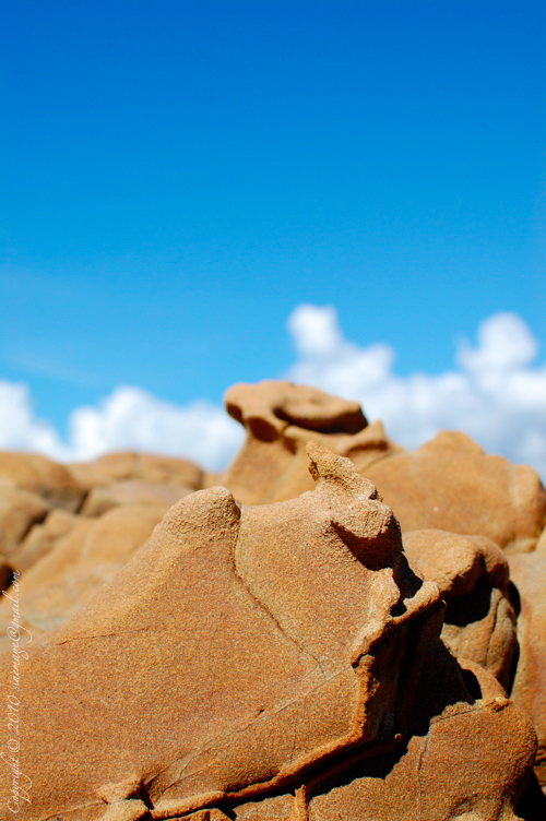 rocks Wellington