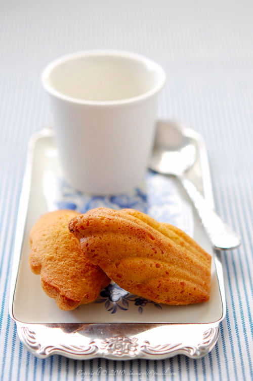 Sinemage Kumquat flavored Madeleines