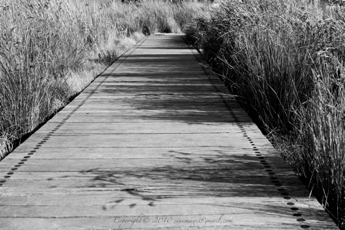 Sinemage path and grass