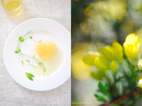 Sinemage Heart shape Gorse flower granita