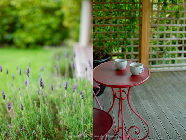 Sinemage Wairarapa Ashwell cottage scene