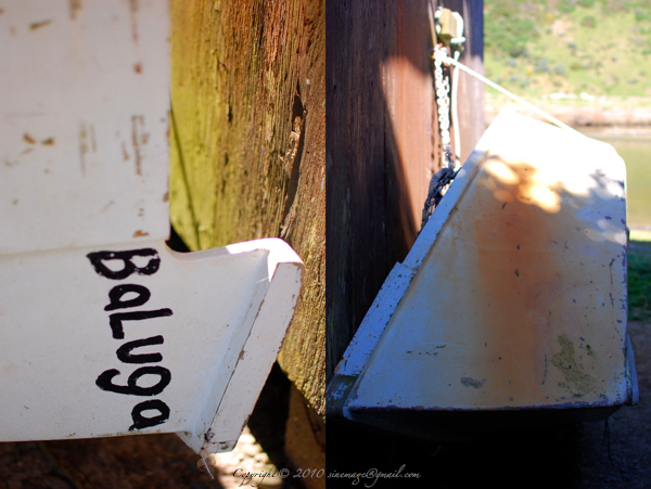 Sinemage diptych boat