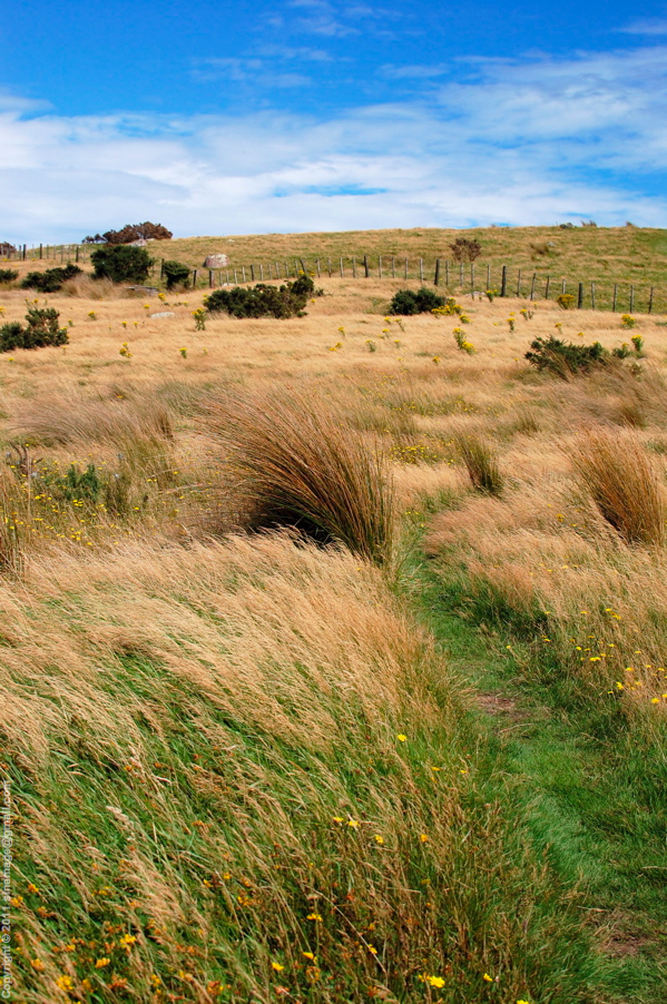 Sinemage Boulder Hill