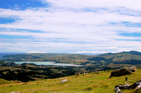 Sinemage Boulder Hill Top Wellington