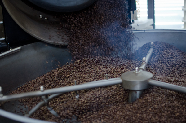  © 2011 Viviane Perenyi Coffee Beans Freshly Roasted