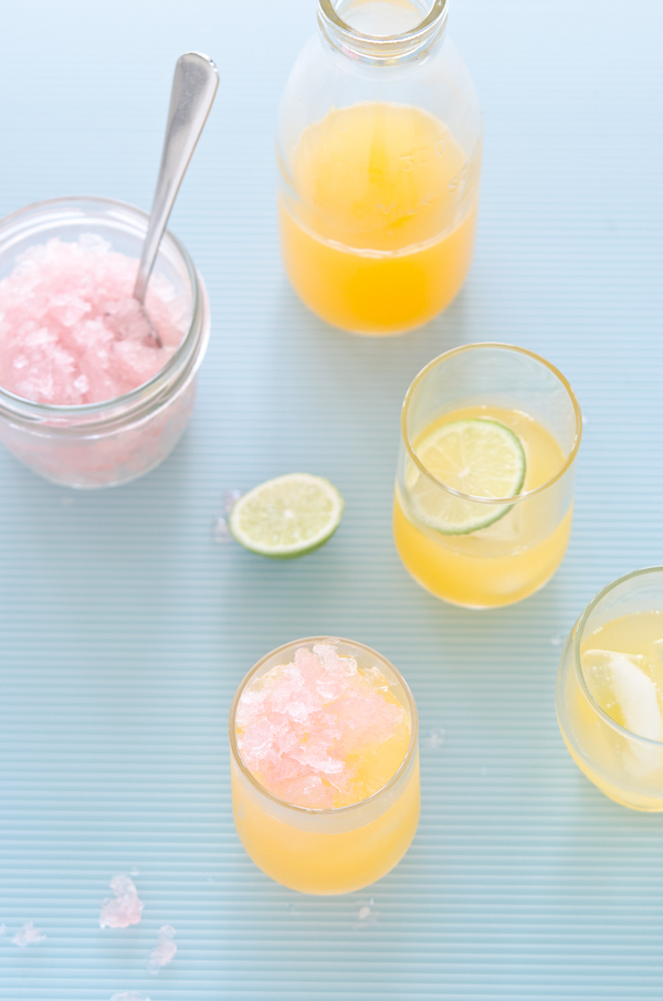  © 2011 Viviane Perenyi Orangeade & Rhubarb Granita