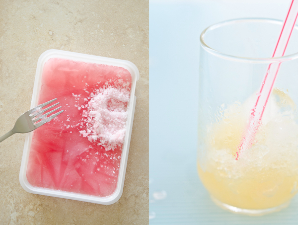  © 2011 Viviane Perenyi Rhubarb Granita and Empty Glass 