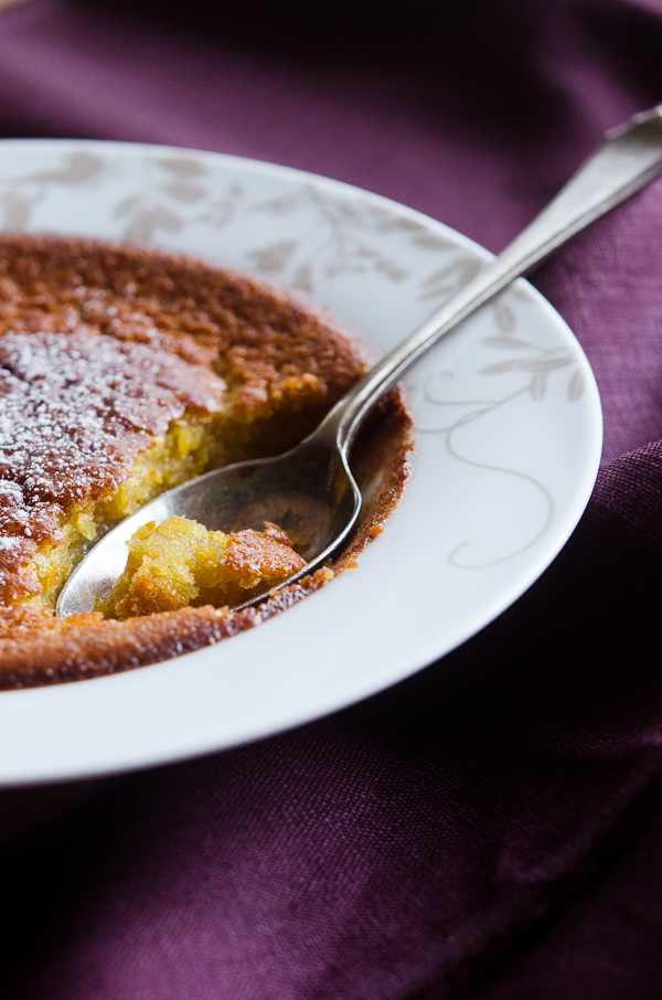 © 2012 Viviane Perenyi - Citrus Pudding