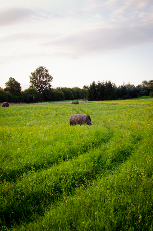 © 2012 Viviane Perenyi - Őrség Meadow Hungary