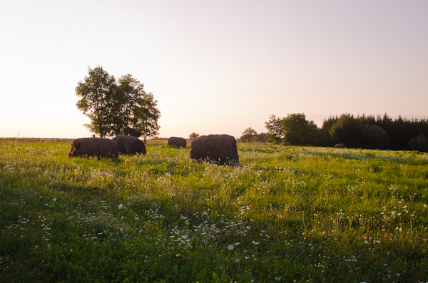 © 2012 Viviane Perenyi - Őrség Hungary Hay Rolls