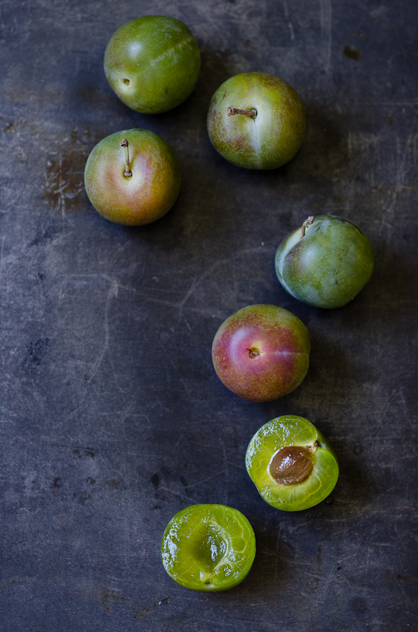 Greengage | At Down Under | Viviane Perenyi