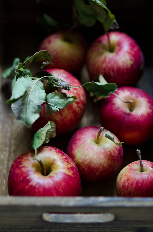 Apples | At Down Under | Viviane Perenyi