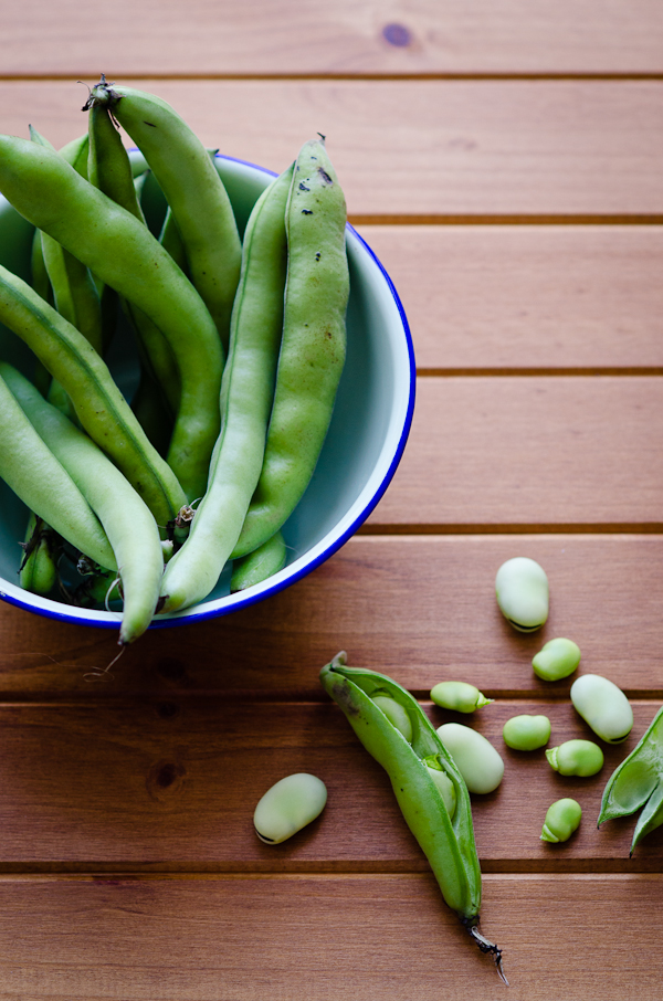 Broad Beans | At Down Under | Viviane Perenyi