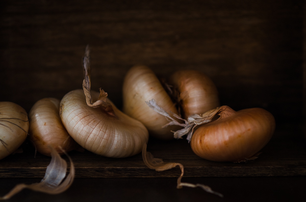 Cipollini Onions | At Down Under | Viviane Perenyi