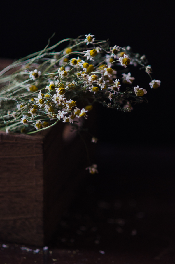 Dried Chamomile | At Down Under | Viviane Perenyi