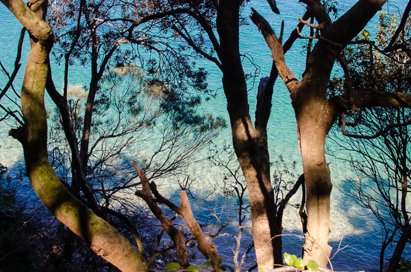 Coastal Walk Sydney | At Down Under | Viviane Perenyi